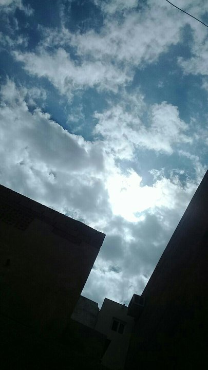 مشاركاتي في أنت الراصد