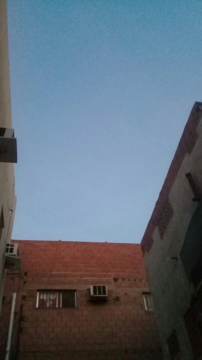 مشاركاتي في أنت الراصد