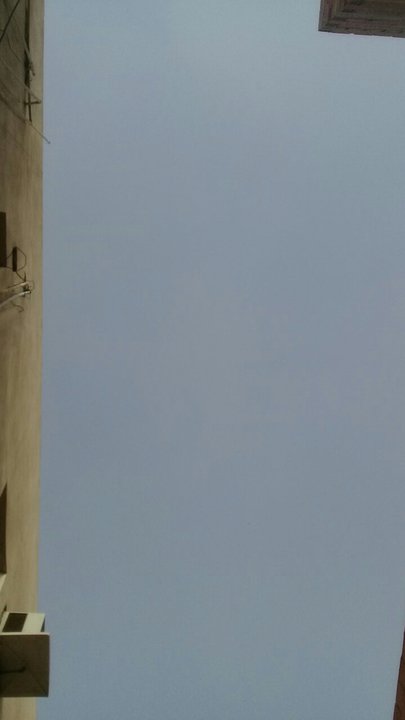 مشاركاتي في أنت الراصد