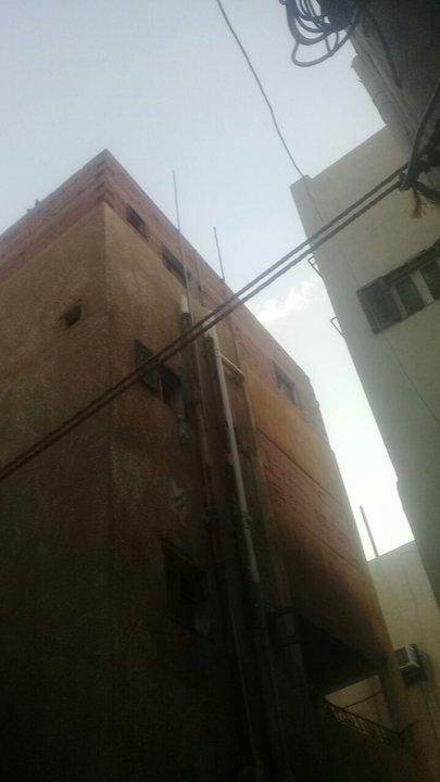 مشاركاتي في أنت الراصد