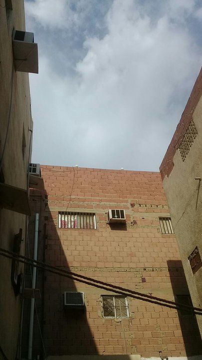 مشاركاتي في أنت الراصد