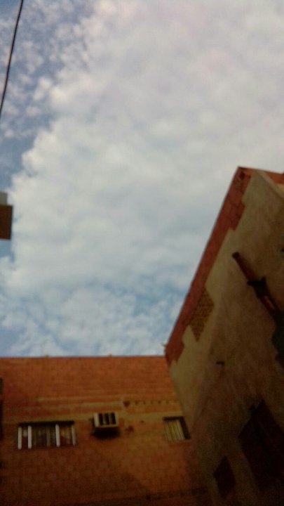 مشاركاتي في أنت الراصد