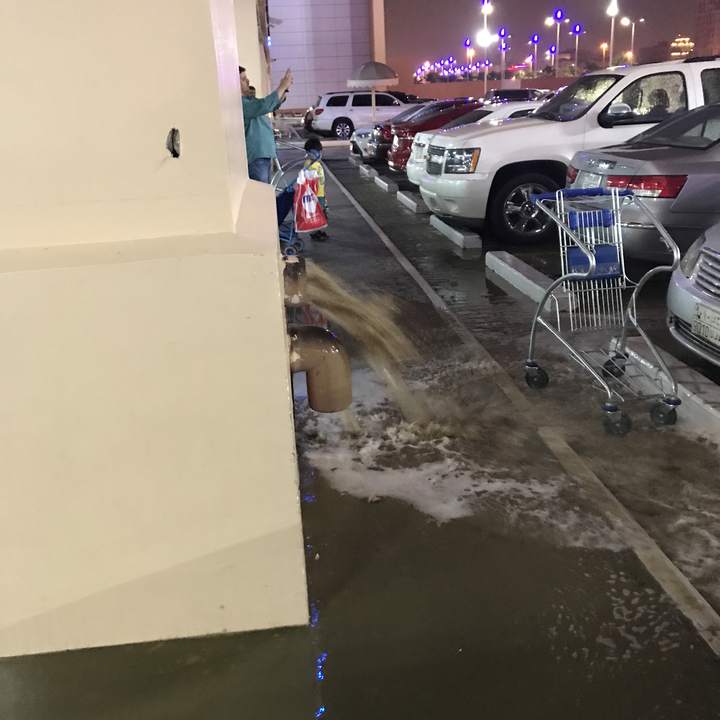 مشاركاتي في أنت الراصد