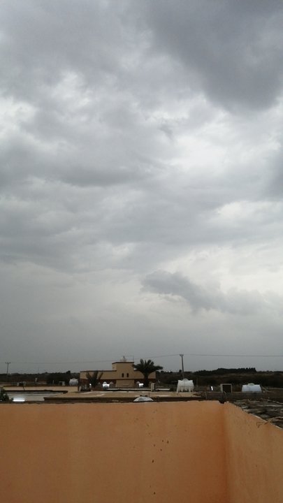 مشاركاتي في أنت الراصد