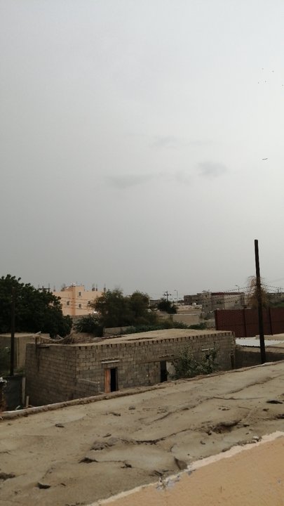 مشاركاتي في أنت الراصد