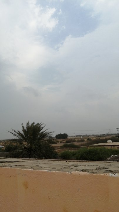 مشاركاتي في أنت الراصد