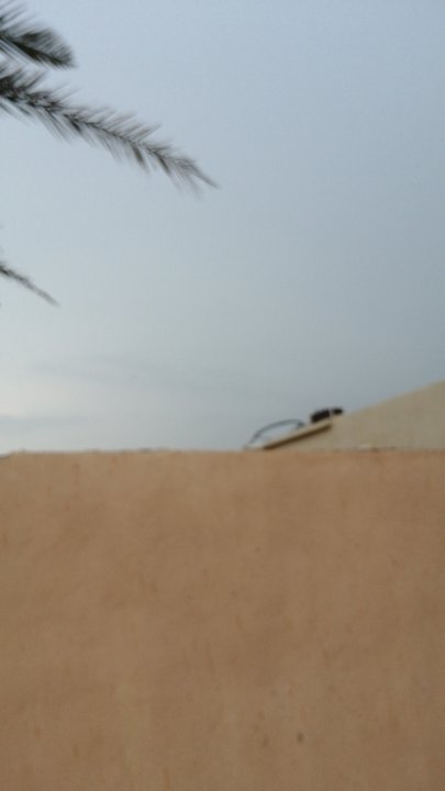 مشاركاتي في أنت الراصد