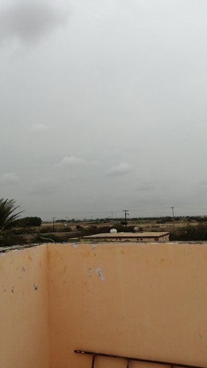 مشاركاتي في أنت الراصد