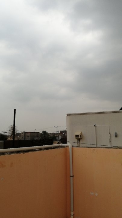 مشاركاتي في أنت الراصد