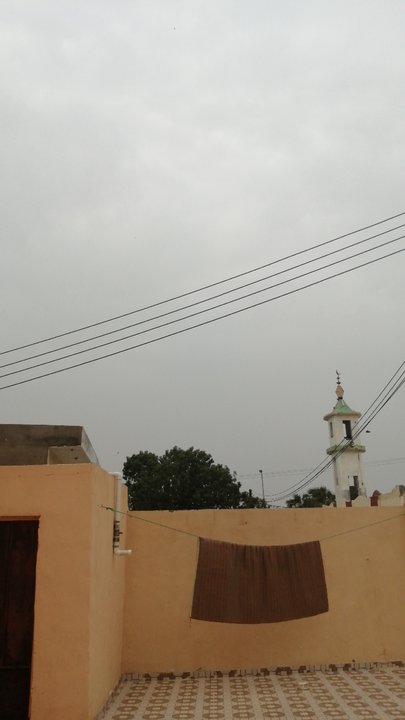 مشاركاتي في أنت الراصد