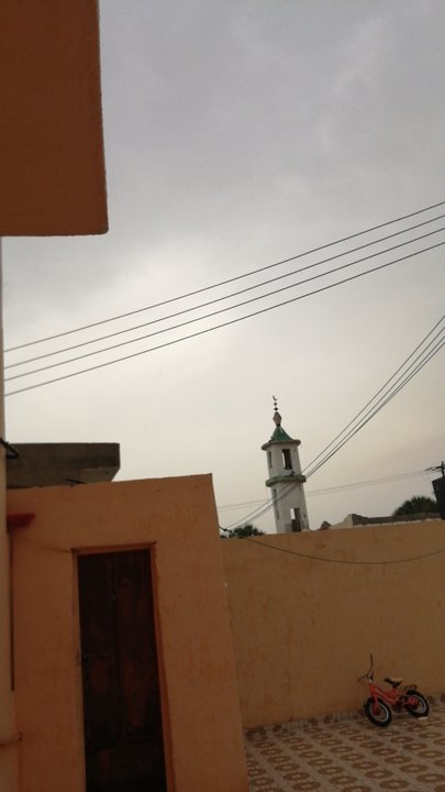 مشاركاتي في أنت الراصد