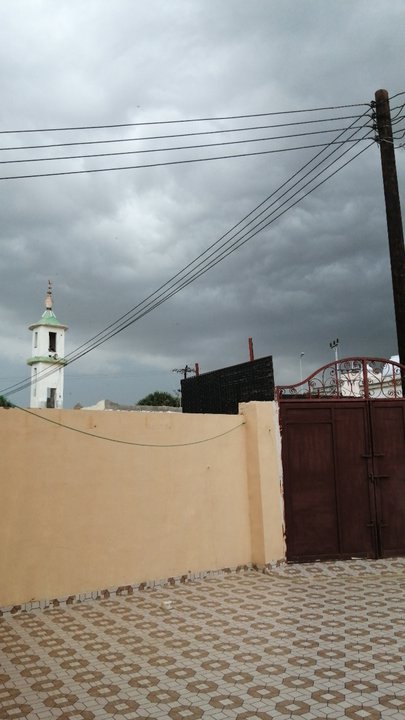 مشاركاتي في أنت الراصد