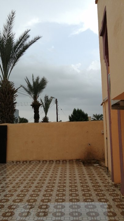 مشاركاتي في أنت الراصد