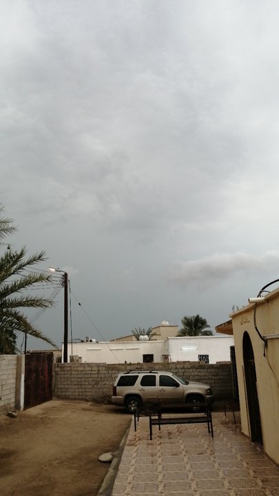 مشاركاتي في أنت الراصد