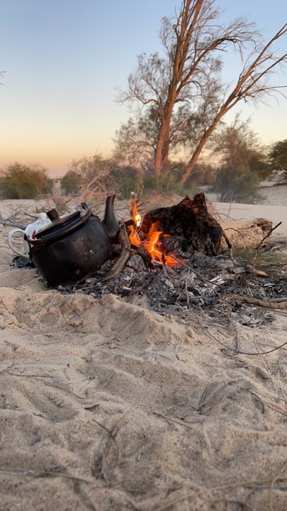 مشاركاتي في أنت الراصد