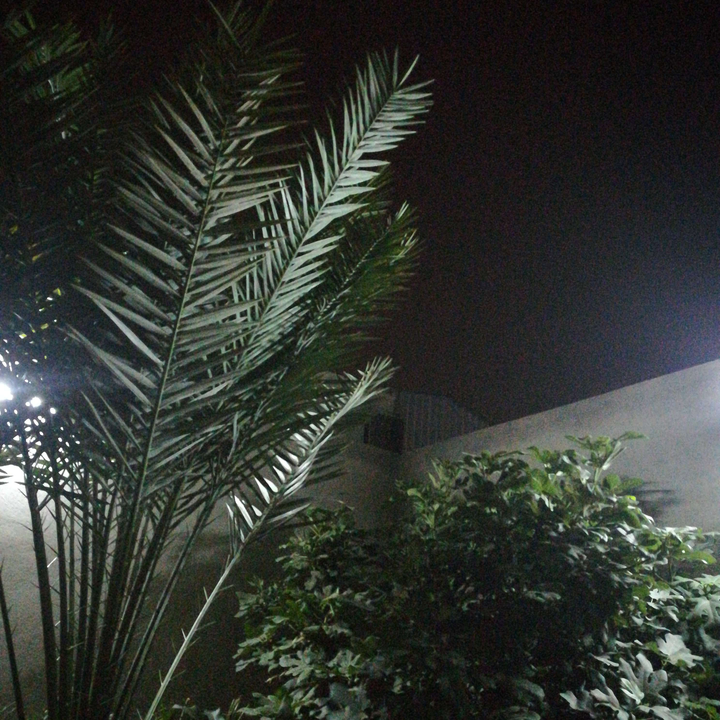 مشاركاتي في أنت الراصد