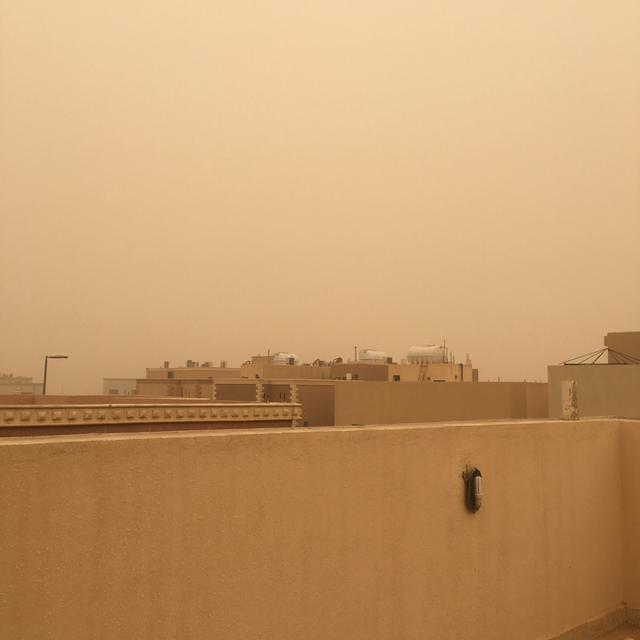 مشاركاتي في أنت الراصد