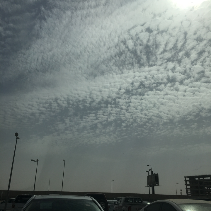 مشاركاتي في أنت الراصد