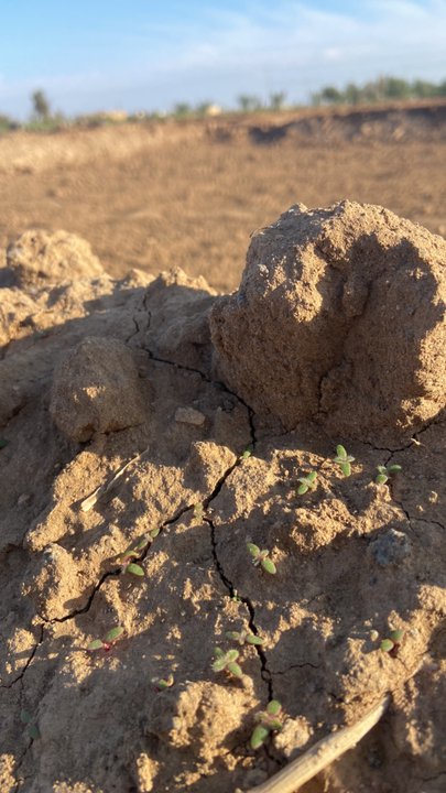 My Crowdsourcing Posts