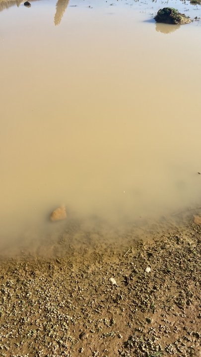 My Crowdsourcing Posts