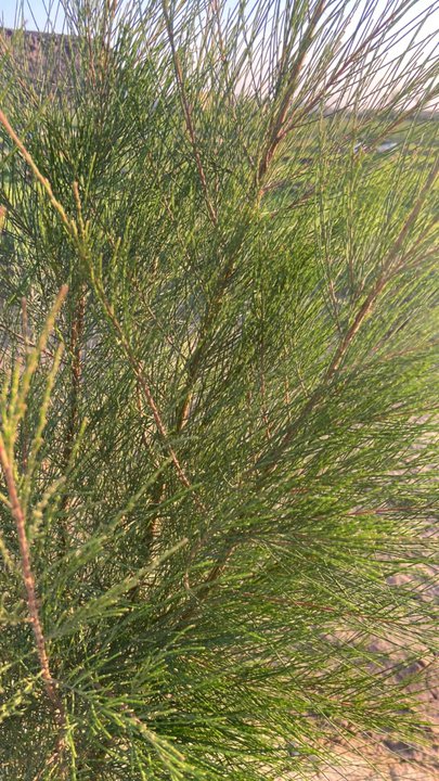 Mes publications Crowdsourcing