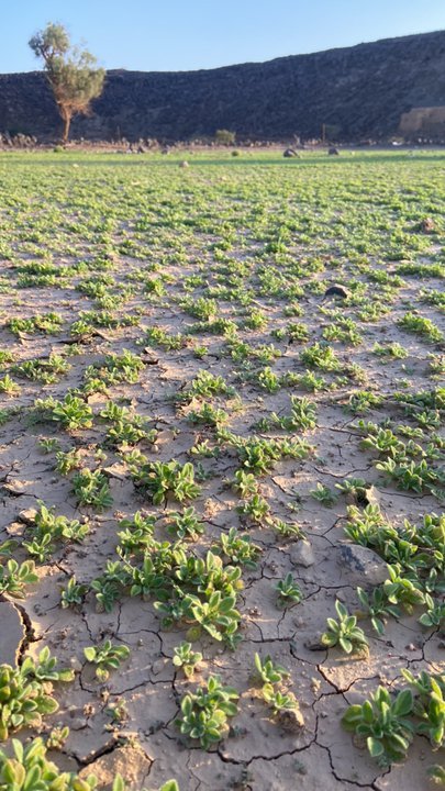 Mes publications Crowdsourcing