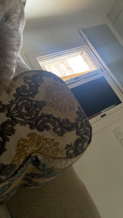 Mes publications Crowdsourcing