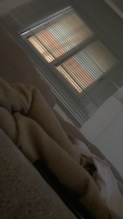 Mes publications Crowdsourcing