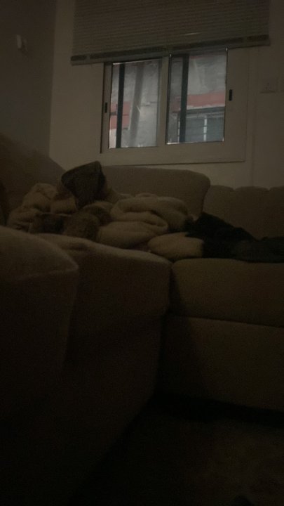 Mes publications Crowdsourcing