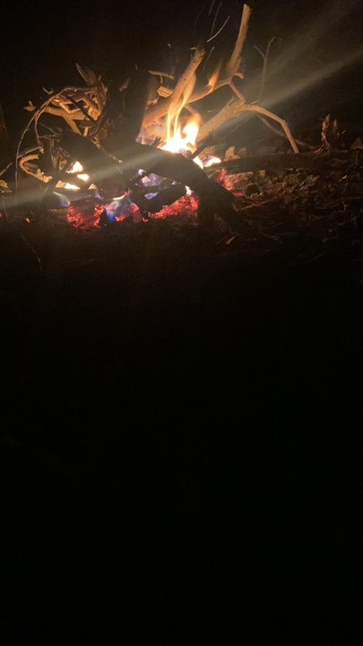 Mes publications Crowdsourcing