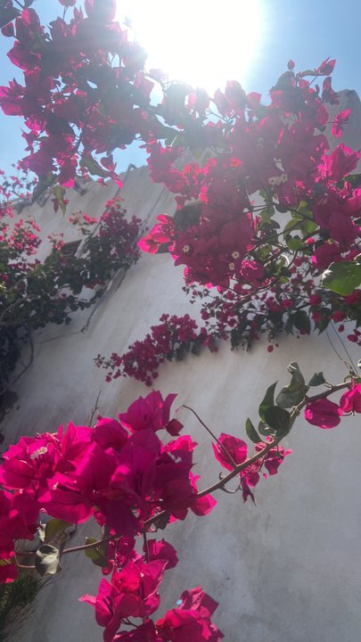 Mes publications Crowdsourcing