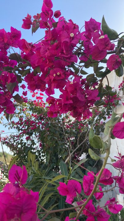 Mes publications Crowdsourcing