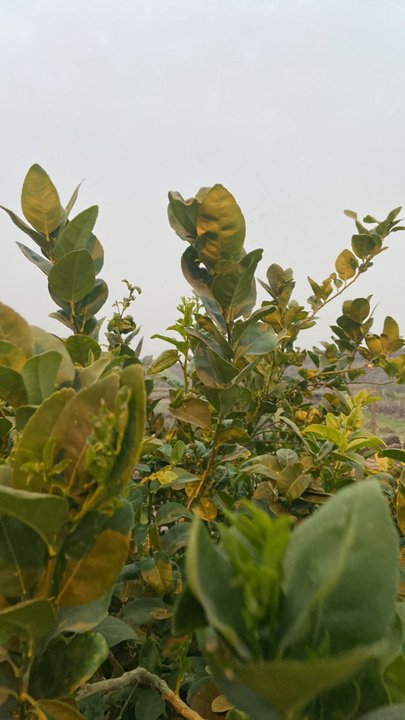 Mes publications Crowdsourcing