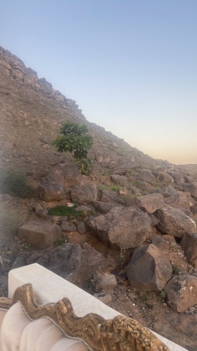 Mes publications Crowdsourcing