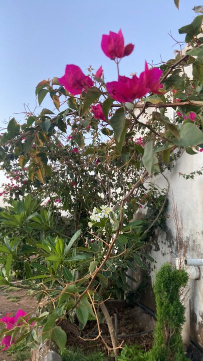 Mes publications Crowdsourcing