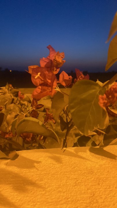 Mes publications Crowdsourcing