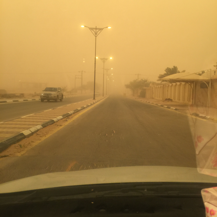 مشاركاتي في أنت الراصد