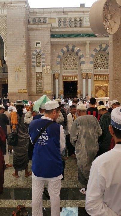 مشاركاتي في أنت الراصد