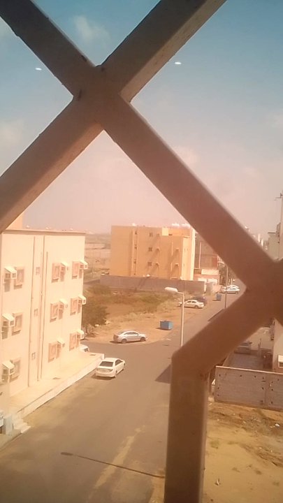 مشاركاتي في أنت الراصد