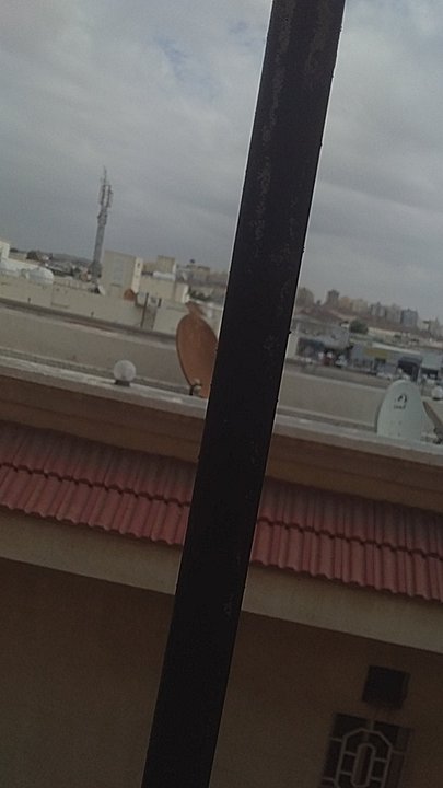 مشاركاتي في أنت الراصد