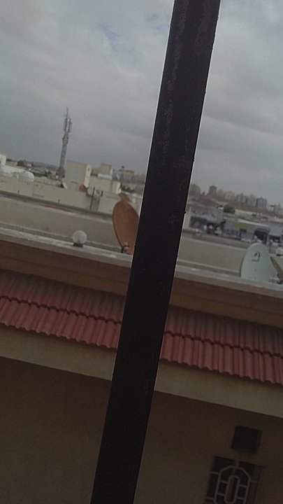 مشاركاتي في أنت الراصد