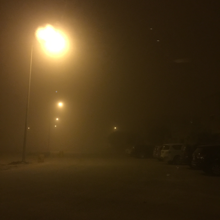 مشاركاتي في أنت الراصد