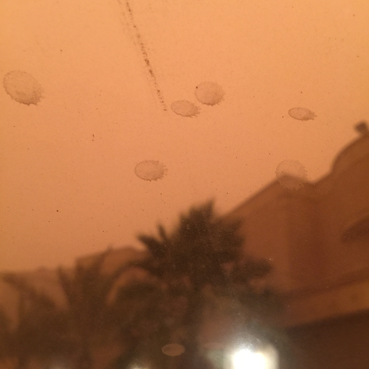 مشاركاتي في أنت الراصد