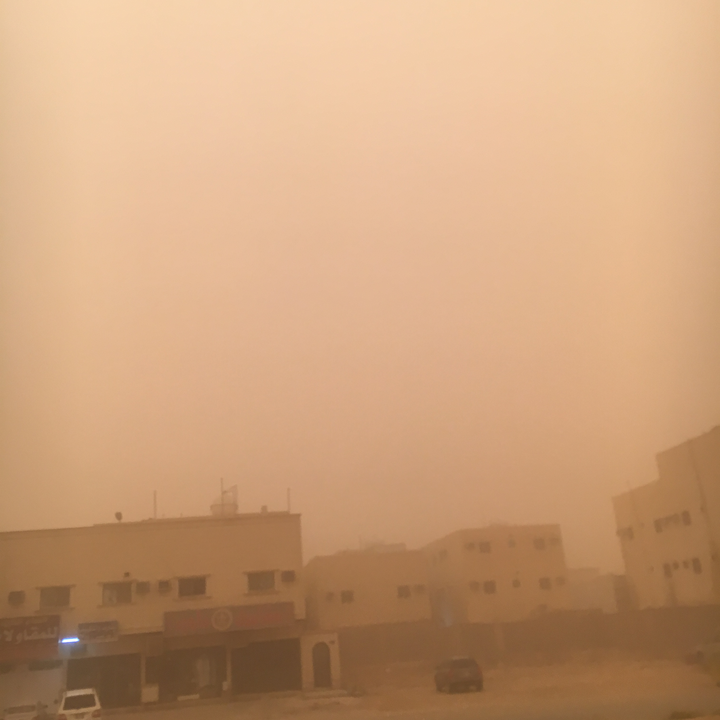 مشاركاتي في أنت الراصد