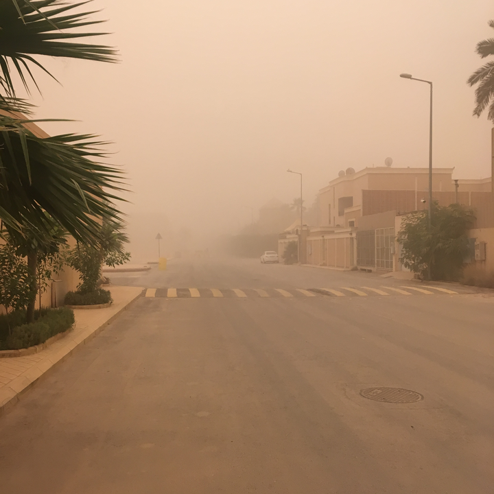 مشاركاتي في أنت الراصد