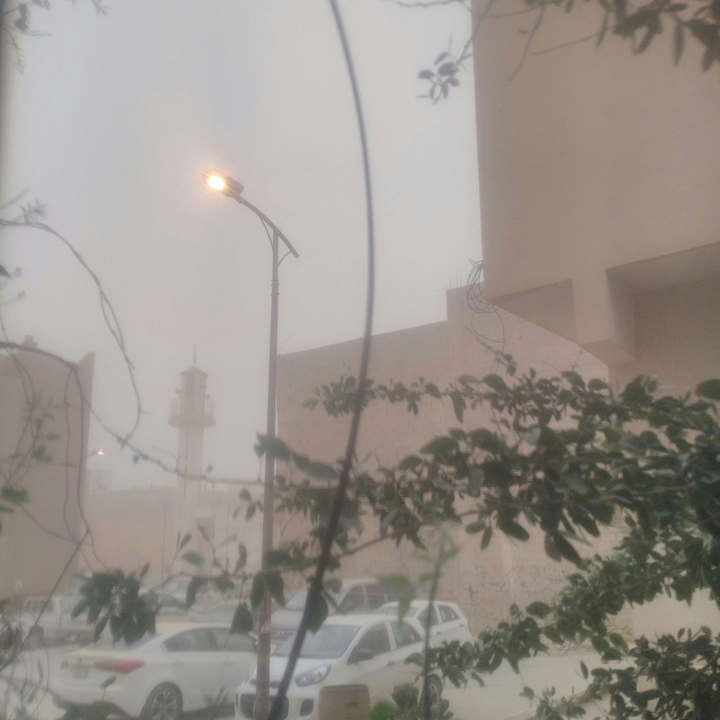 مشاركاتي في أنت الراصد