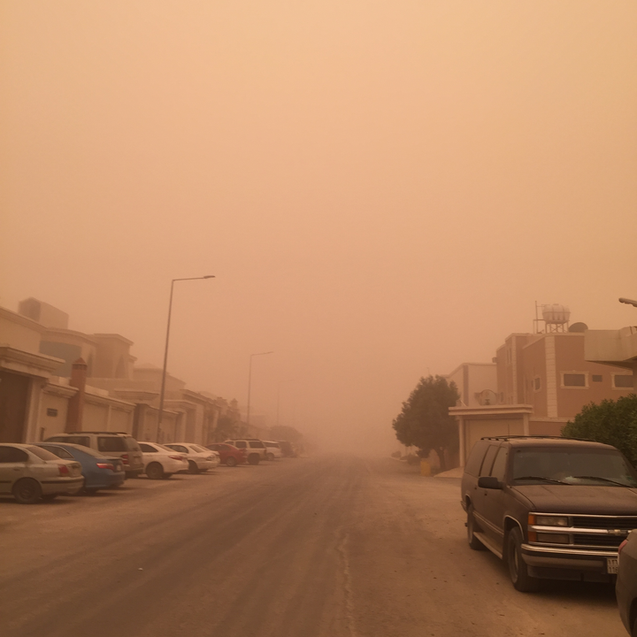 مشاركاتي في أنت الراصد