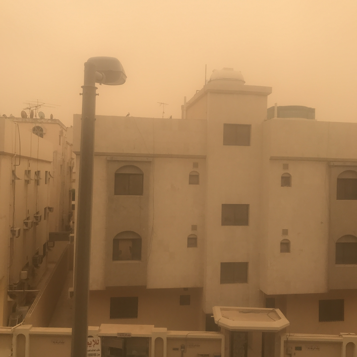 مشاركاتي في أنت الراصد