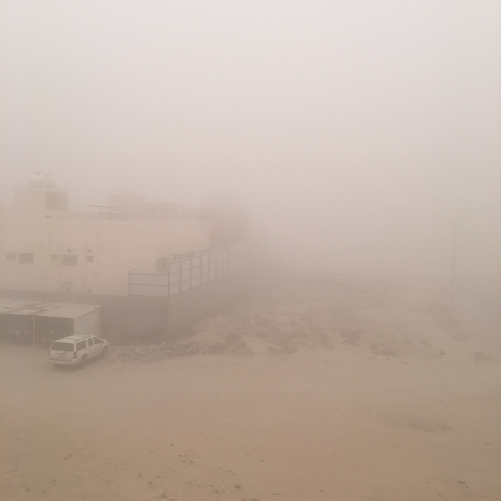 مشاركاتي في أنت الراصد