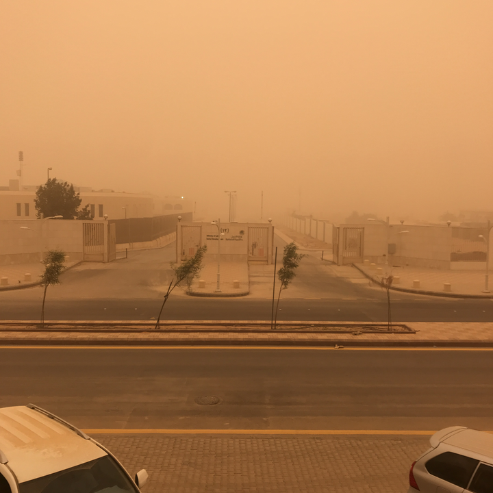 مشاركاتي في أنت الراصد